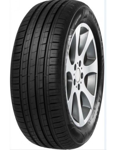 MINERVA F209 205/70 R14 95T