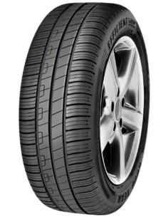 GOODYEAR EFFICIENTGRIP PERFORMANCE (FIAT) 205/55 R16 91V