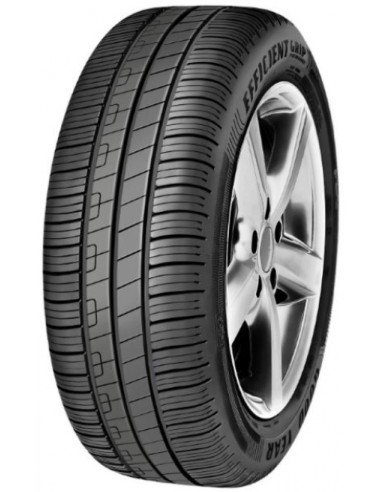 GOODYEAR EFFICIENTGRIP PERFORMANCE (FIAT) 205/55 R16 91V