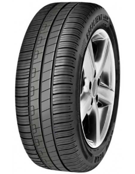 GOODYEAR EFFICIENTGRIP PERFORMANCE (FIAT) 205/55 R16 91V