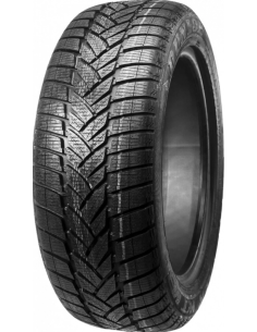 Dunlop GRANDTREK WT M3 265/55 R19 109H
