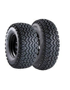 CARLSTAR ALL TRAIL 22/11 R10 76F