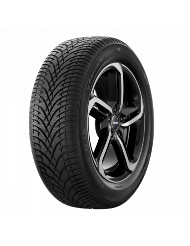 BF-GOODRICH G-FORCE WINTER2 225/40 R19 93V