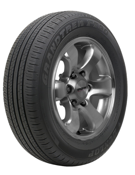 DUNLOP GRANDTREK PT30 225/60 R18 100H